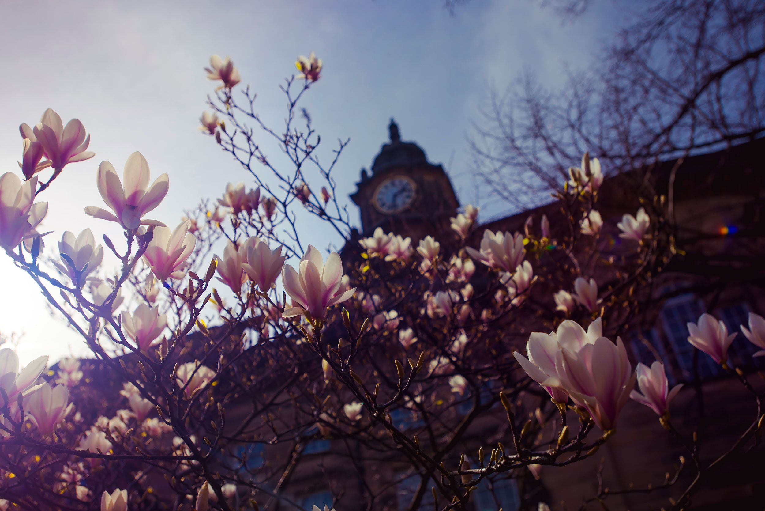 Lancaster City Council